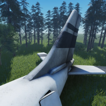 Crash Site in forest!
