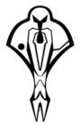 ⪦ Cardassian Union ⪧