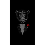 shout to y_bbc