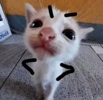 UWuEueuwuekwvdoguSus