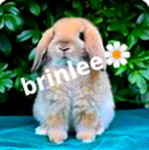 ,~|joy|~,