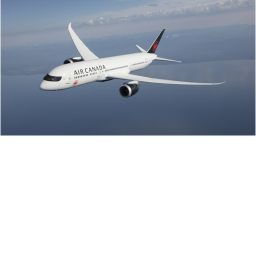 aircanada flight 419