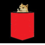 The Official Team Doge.
