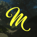 Metacoded Development