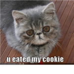 u eated my cookie