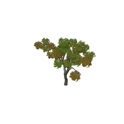 Destructable Tree