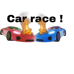 Car racing ! Course de voiture !