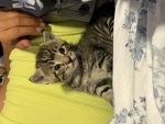 Please get me