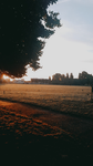 {THE SUNS}