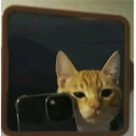 RICARDO>:V