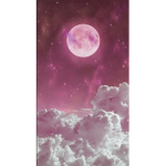 Nour_ 123123