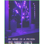Dark~Nxght