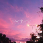 iiaestheticTrent