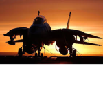 F-14 Maverik