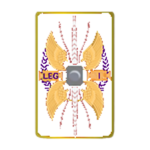 Legion I Funding Group
