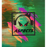 Captain aspects
