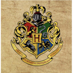 Hogwarts Simulator