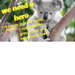koala ############ group. Everyone is Welcome!!