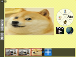Doge cools group