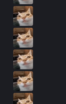 we are the meme gods