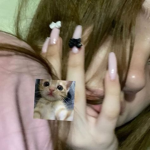forsinga ˆᗜˆ