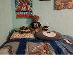 Teddy&Turtle