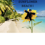 Sunflower beach!