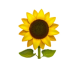Super Sunflower Squad