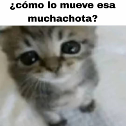 nonononononoChacha