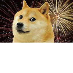 Doge city