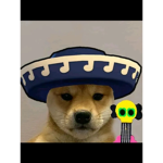 Los mejores perros :>