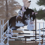Horses are great horses are the best