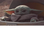 yoda boyz