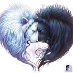 The day and night lions