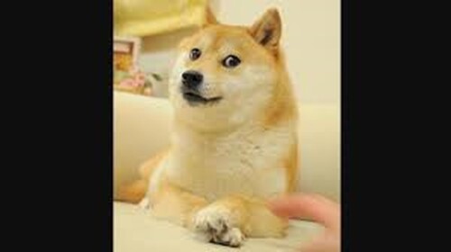 Doge