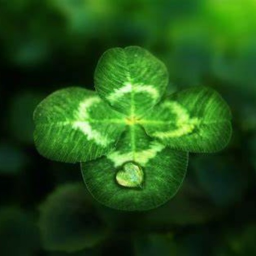 Saint Patrick's Day Hangout