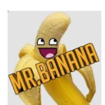 Mr bannanas