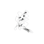 bankai monster