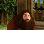 Dah Wizardz of Harry pooter