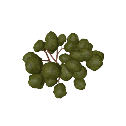 Tree 7