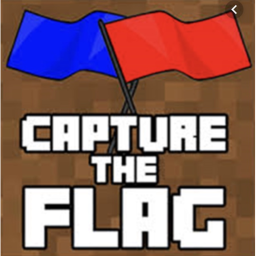Capture the flag!(beta)