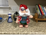 North Pole Santa squad