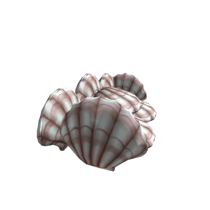SeaShells(Fixed!)