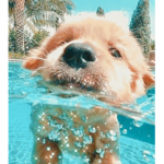 Addie.Loves