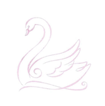• fancy flamingo •