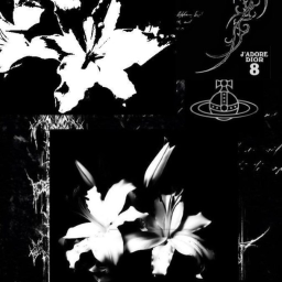꒰ ୨୧ ꒱