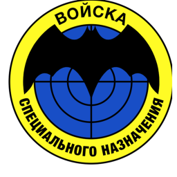 Spetsnaz HQ grounds training