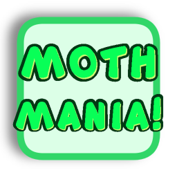 MOTH MANIA! [TEST]