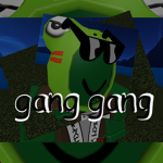 the gang gang.
