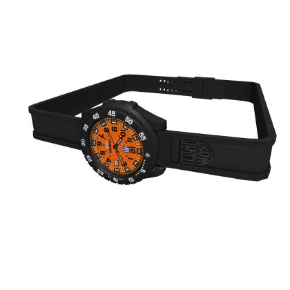 Luminox Watch R6 - Orange